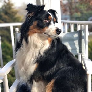 Closet CLEAN OUT!  Mention “Maddie” for 10% off!